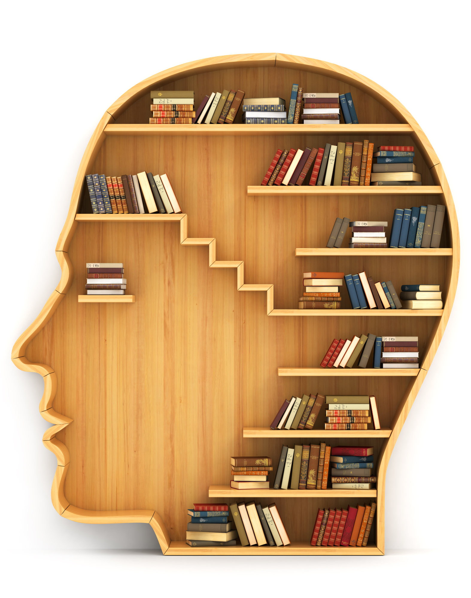 Bookshelf inside the mind