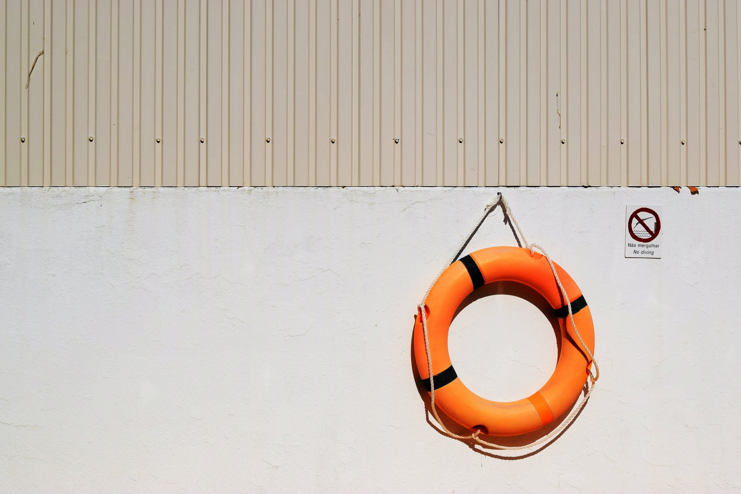 Lifeguard ring